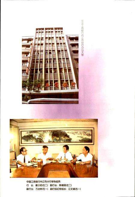 《内江地区金融志》.pdf电子版_四川省志预览图4