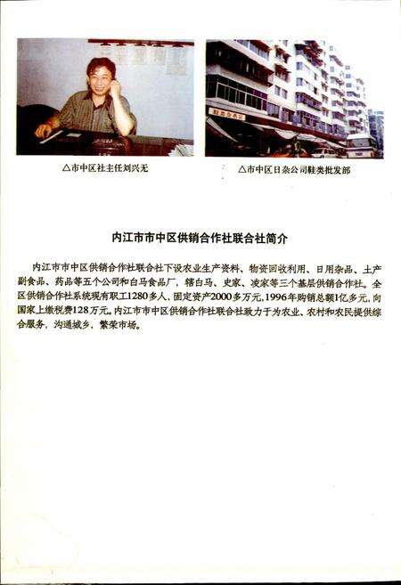《内江地区供销合作志》.pdf电子版_四川省志预览图3