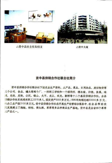 《内江地区供销合作志》.pdf电子版_四川省志预览图5