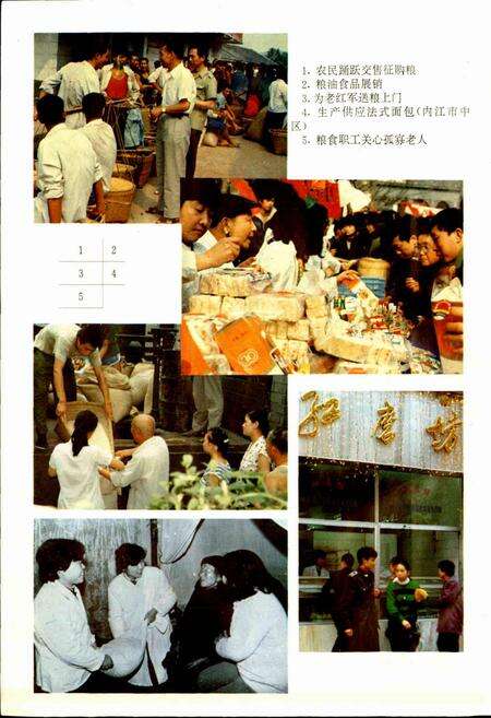 《内江地区粮食志》.pdf电子版_四川省志预览图4