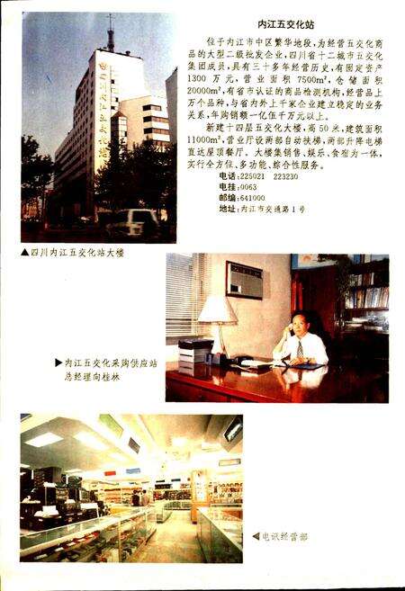 《内江地区商业志》.pdf电子版_四川省志预览图3