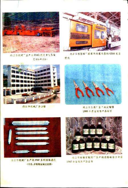 《内江地区二轻工业志》.pdf电子版_四川省志预览图4