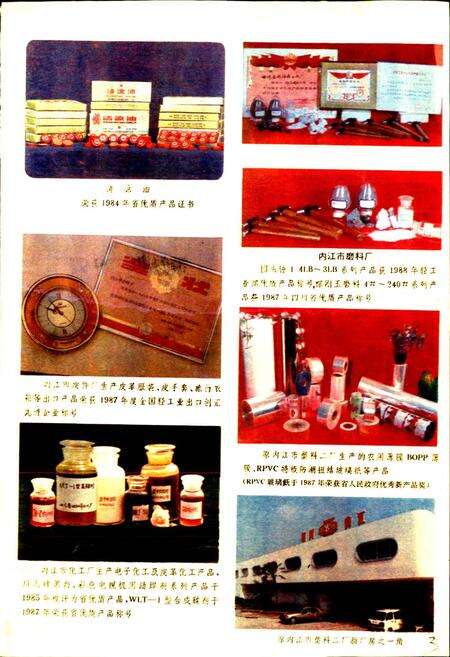 《内江地区二轻工业志》.pdf电子版_四川省志预览图5