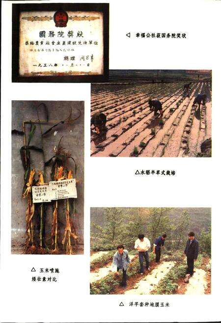 《沐川县志》.pdf电子版_四川省志预览图4