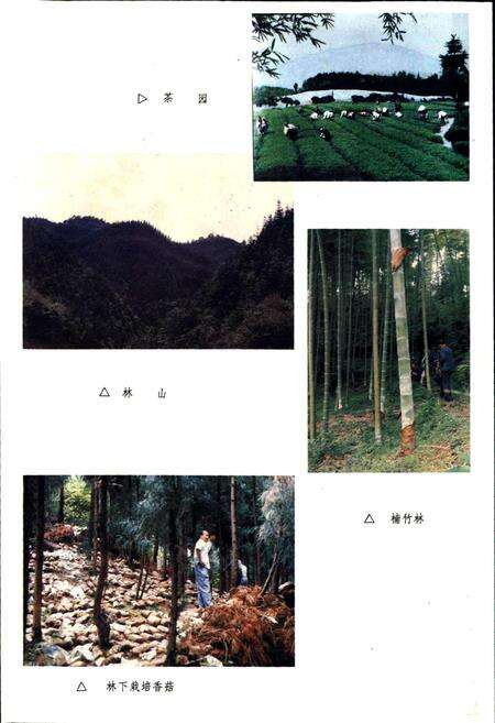 《沐川县志》.pdf电子版_四川省志预览图5