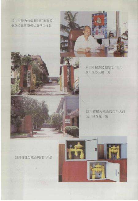 《犍为县乡镇企业志》.pdf电子版_四川省志预览图3