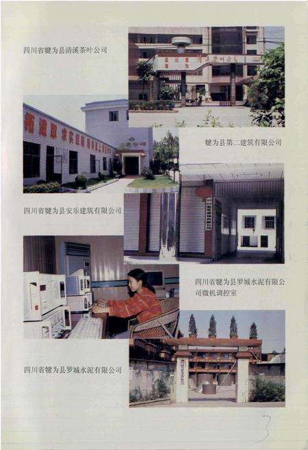 《犍为县乡镇企业志》.pdf电子版_四川省志预览图4