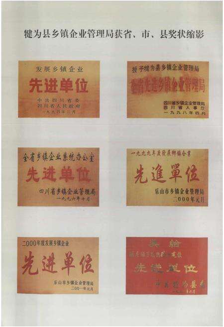 《犍为县乡镇企业志》.pdf电子版_四川省志预览图5