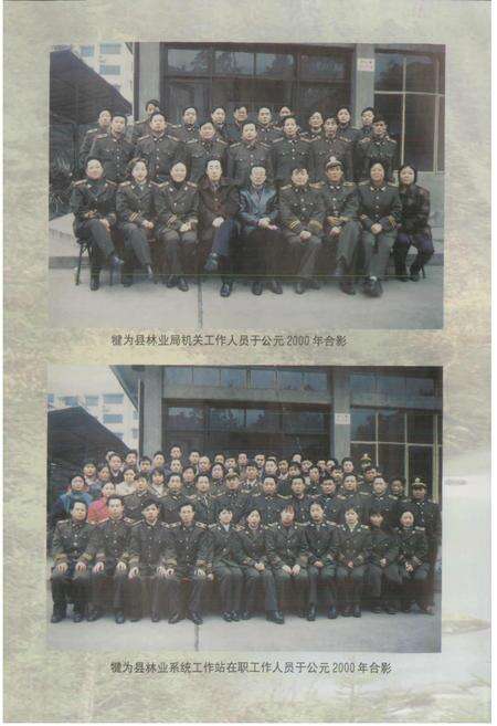 《犍为县林业志》.pdf电子版_四川省志预览图4