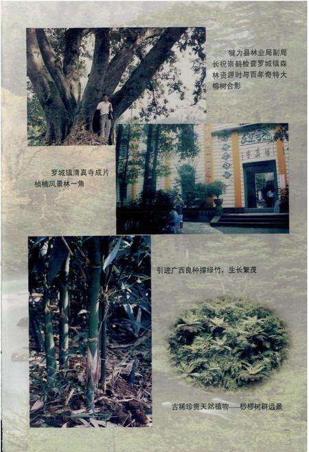 《犍为县林业志》.pdf电子版_四川省志预览图5