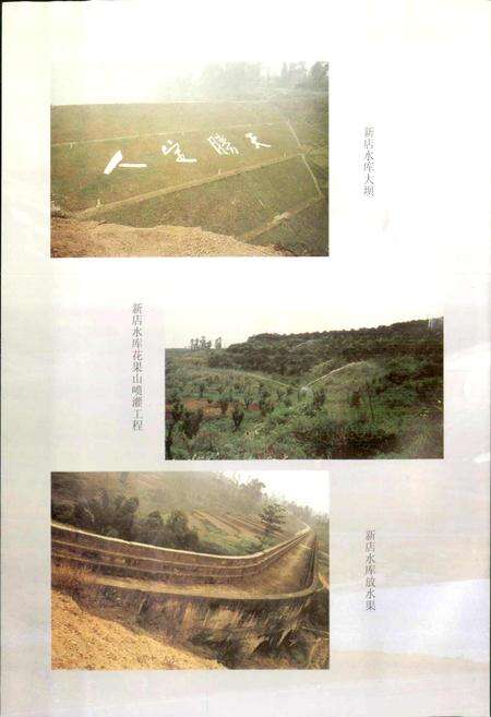 《犍为县水利志》.pdf电子版_四川省志预览图5