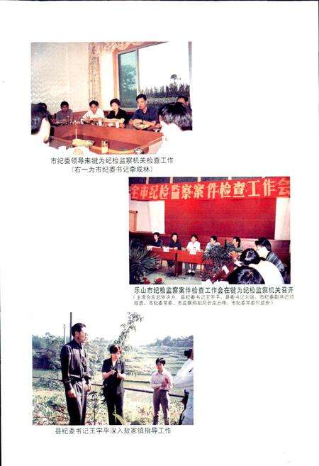《纪检监察志》.pdf电子版_四川省志预览图4