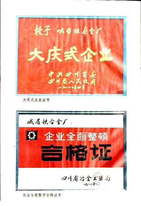 《峨眉铁合金厂志》.pdf电子版_四川省志预览图4