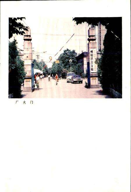 《峨眉铁合金厂志》.pdf电子版_四川省志预览图5