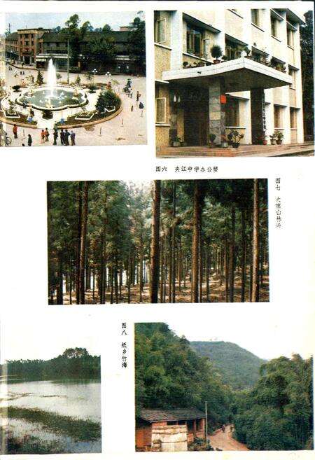 《夹江县志》.pdf电子版_四川省志预览图4