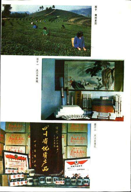 《夹江县志》.pdf电子版_四川省志预览图5