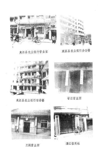 《夹江县农村金融志》.pdf电子版_四川省志预览图2
