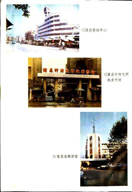 《隆昌县志》.pdf电子版_四川省志预览图3