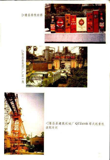 《隆昌县志》.pdf电子版_四川省志预览图4