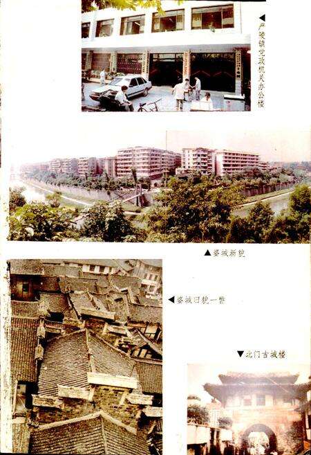 《严陵镇志》.pdf电子版_四川省志预览图3