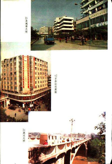 《威远县志》.pdf电子版_四川省志预览图5