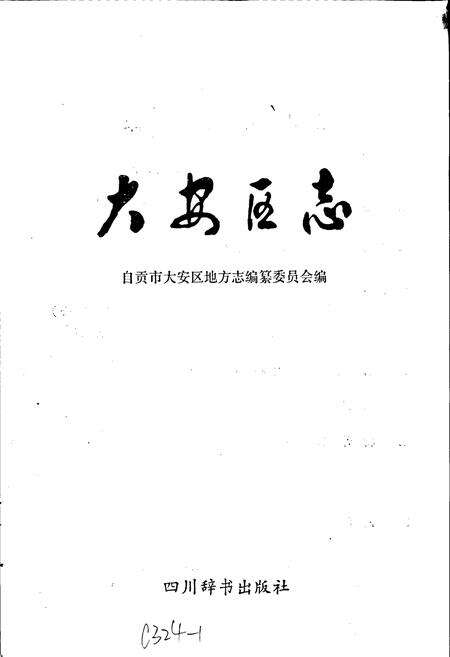 《大安区志》.pdf电子版_四川省志预览图1