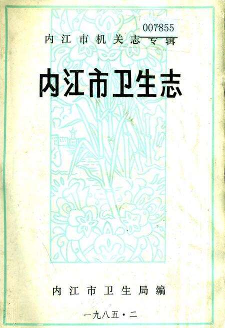 《内江市卫生志》.pdf电子版_四川省志缩略图