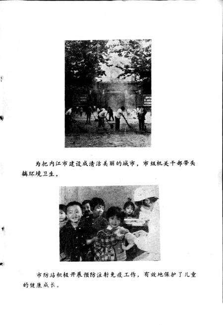 《内江市卫生志》.pdf电子版_四川省志预览图4