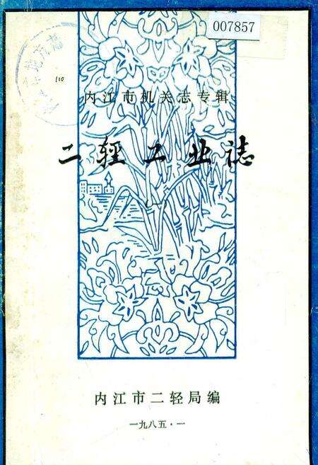 《内江市机关志专辑 二轻工业志》.pdf电子版_四川省志缩略图
