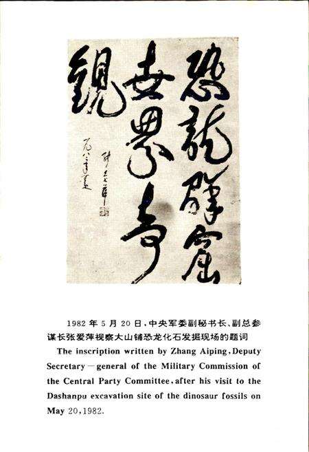 《自贡恐龙化石志》.pdf电子版_四川省志预览图4