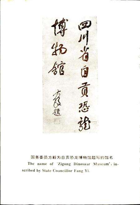《自贡恐龙化石志》.pdf电子版_四川省志预览图5