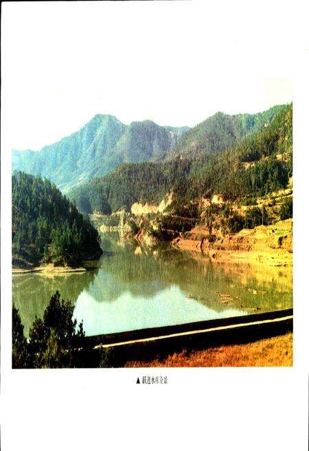 《樊枝花市水利电力志》.pdf电子版_四川省志预览图4