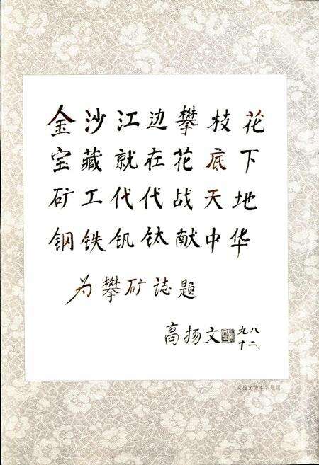 《攀矿志》.pdf电子版_四川省志预览图4