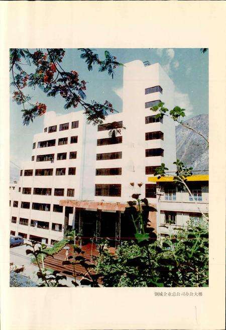 《攀钢集团 钢城企业总公司志》.pdf电子版_四川省志预览图2