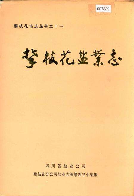 《攀枝花盐业志》.pdf电子版_四川省志缩略图