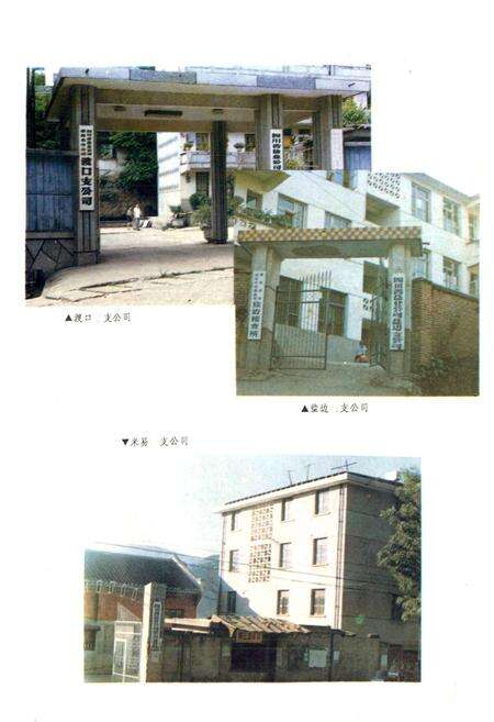 《攀枝花盐业志》.pdf电子版_四川省志预览图2