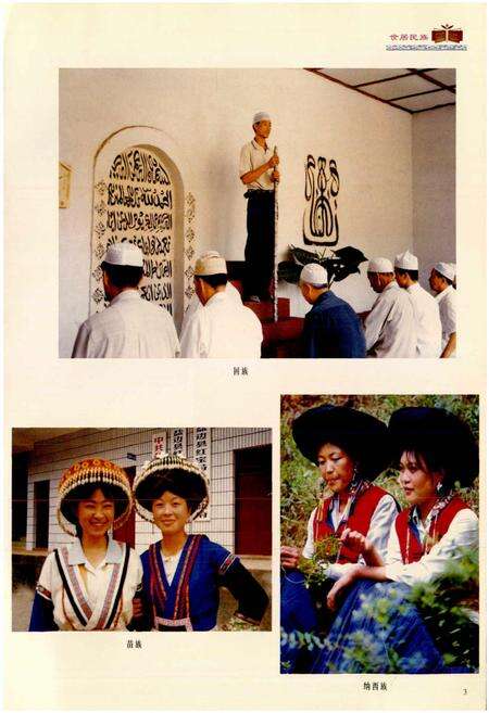 《攀枝花市少数民族志》.pdf电子版_四川省志预览图4