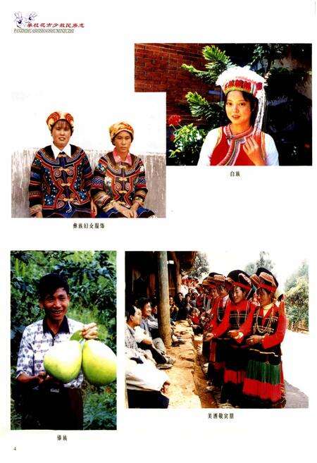 《攀枝花市少数民族志》.pdf电子版_四川省志预览图5
