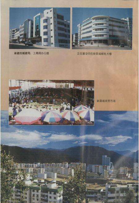《盐边县志》.pdf电子版_四川省志预览图4