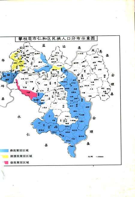 《仁和区少数民族志》.pdf电子版_四川省志预览图2