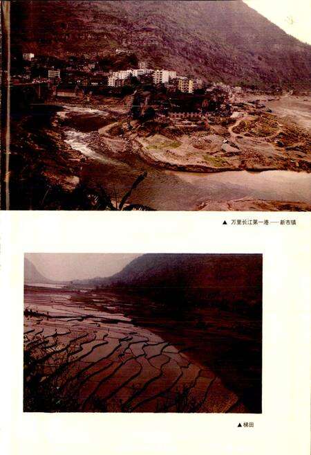 《屏山县志》.pdf电子版_四川省志预览图5