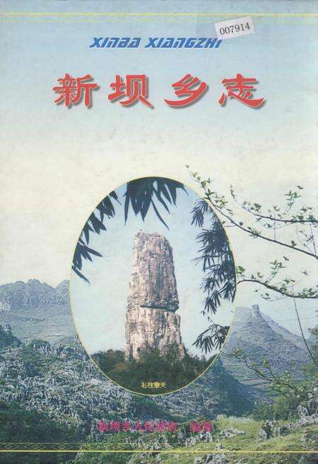 《新坝乡志》.pdf电子版_四川省志缩略图