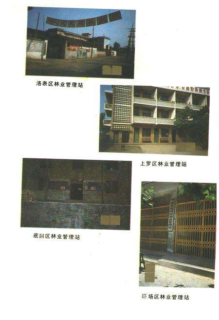 《珙县林业志》.pdf电子版_四川省志预览图3