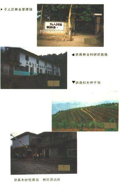 《珙县林业志》.pdf电子版_四川省志预览图4