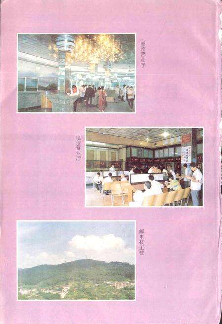 《宜宾邮电志》.pdf电子版_四川省志预览图4