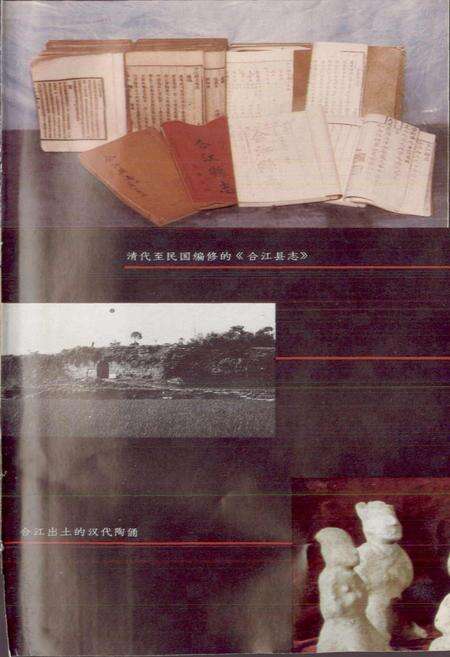 《合江县志》.pdf电子版_四川省志预览图5