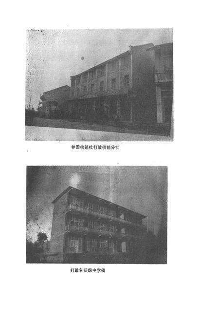 《打鼓乡志》.pdf电子版_四川省志预览图3