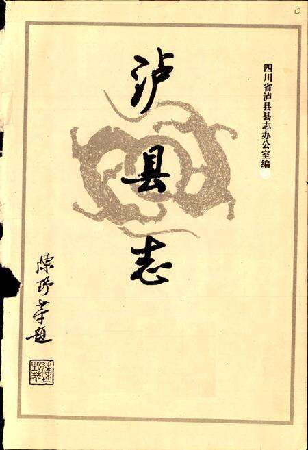 《泸县志》.pdf电子版_四川省志预览图1
