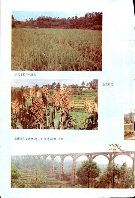 《泸县志》.pdf电子版_四川省志预览图3