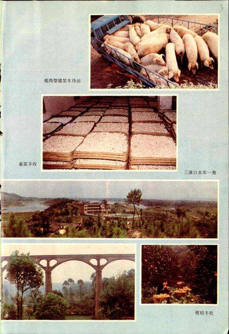 《泸县志》.pdf电子版_四川省志预览图4